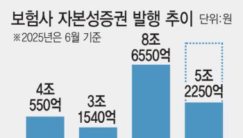 금리인하에 보험부채 할인율 현실화까지…보험사, 자본확충 안간힘