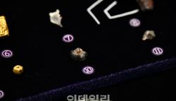 백제 왕실 무덤서 10대 추정 어금니 발견…"주인은 삼근왕"