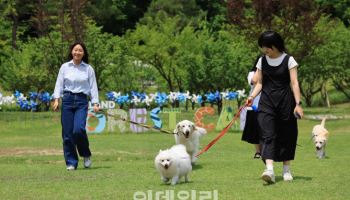 "댕댕이와 숲 속 산책"…에버랜드 '멍하니 걷개' 출시
