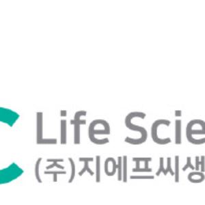 컷뉴스