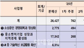 폐업 소상공인에 600만원…부담 완화에 1조 추경 편성