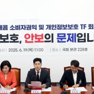 국힘 "SKT 해킹 사태는 국가 대한 침략…최태원 청문회 추진"