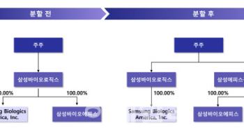 삼성·삼양·파마리서치, 인적분할로 지배구조 재편…평가 엇갈린 이유?