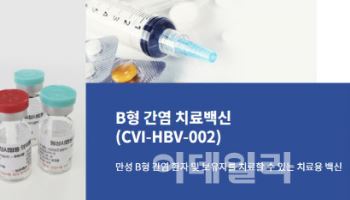 차백신연구소, B형간염 치료백신 2b상 결과 수령…“병용요법 임상 추진”