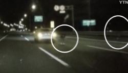 '고속도로 사망 여배우' 부검 결과...2년 뒤 남편은? [그해 오늘]