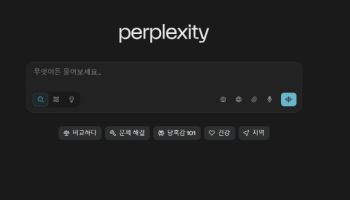 애플, AI 검색 엔진 퍼플렉시티 인수 검토