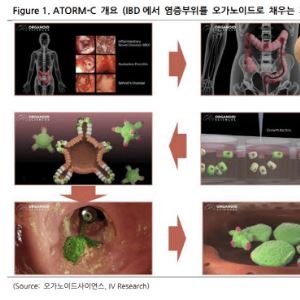 ‘오가노이드는 더 이상 먼 미래 아니다’…오가노이드사이언스, 본격 성장[인베스트 바이오]