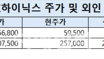 반도체 ‘사자’ 외국인…SK하닉 주주 웃었지만 '삼전'은?
