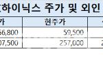 반도체 ‘사자’ 외국인…SK하닉 주주 웃었지만 '삼전'은?