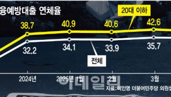 [단독]취지 무색…소액생계비대출 연체율 35% 훌쩍