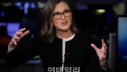 '상장 후 600% 급등'…돈나무 언니가 투자한 '이 종목' 정체는