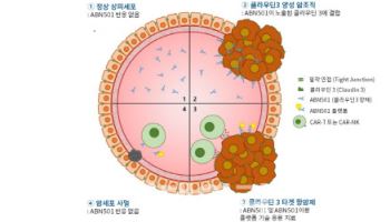 ‘1.8조 기술수출’ 에이비온, 법차손 리스크까지 두 토끼 잡았다
