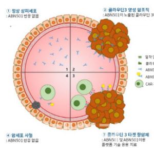 ‘1.8조 기술수출’ 에이비온, 법차손 리스크까지 두 토끼 잡았다
