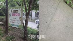 [단독]공원 산책하던 시민 습격한 오소리…`캣맘 탓` 지적도