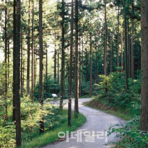 장성, 올여름엔 ‘여행경비 지원’ 혜택까지 ''덤''