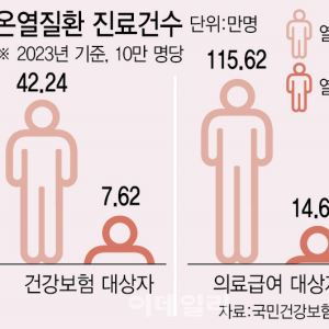 컷뉴스