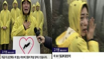 “죄 없는 러브버그 학살” 눈물 호소…달라붙자 ‘욕설’ 정체는