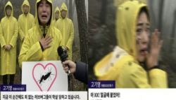 “죄 없는 러브버그 학살” 눈물 호소…달라붙자 ‘욕설’ 정체는