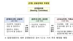 "주가조작하면 패가망신"…'원스트라이크 아웃' 첫 사례 연내 나온다