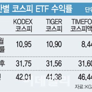 컷뉴스