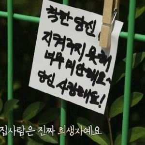 컷뉴스