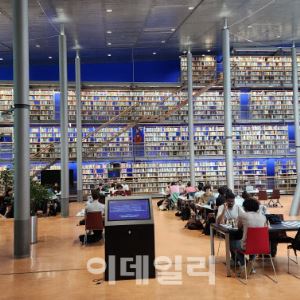 대학가 월세가 '288만원'…임대주택 강국의 충격 현실