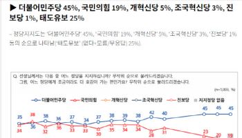 민주 45% 국힘 19%…野, 첫 10% 대 지지율