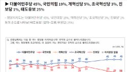 민주 45% 국힘 19%…野, 첫 10% 대 지지율[NBS]