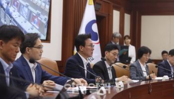 국정현안관계장관회의