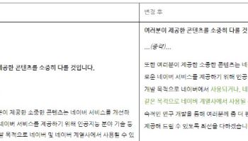 네이버, 이용약관 개정···"사용자 조치시 AI학습 활용 안해"