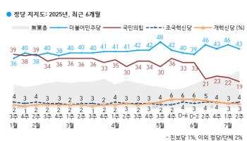 민주43% 국힘19%…TK서도 밀린 野 '최저 지지율'[한국갤럽]