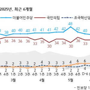 컷뉴스