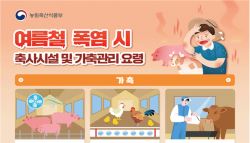 폭염에 가축폐사 53만마리, 하루새 2배↑…정부·지자체 등 TF 가동