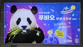 中 간 푸바오 `탄생 5돌`…대전역 전광판 축하 광고