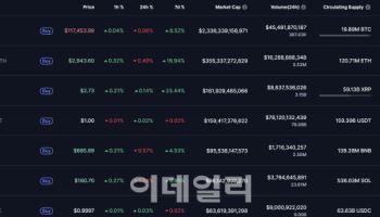 최고가 찍은 비트코인, 11만7000달러대 '숨 고르기'