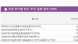 '불기둥' 뿜었다…주간 수익률 TOP찍은 금융 ETF, 왜?[펀드와치]