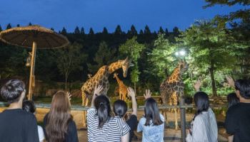 에버랜드, 여름방학 동물탐험 프로그램 연다
