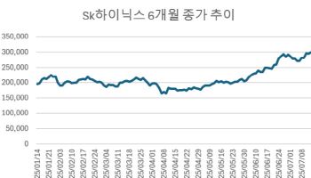 ‘30만닉스’ 찍었는데 '중립' 리포트 찬물…엇갈린 전망[주톡피아]