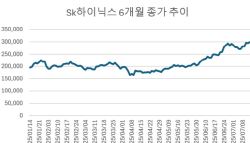 ‘30만닉스' 찍었는데 '중립' 리포트 찬물…엇갈린 전망[주톡피아]