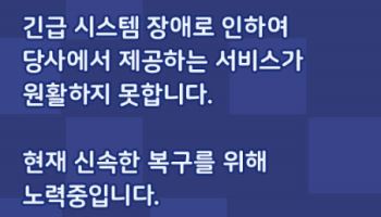 "하필 이삿날" 전세대출 막혀 날벼락…SGI서울보증 먹통