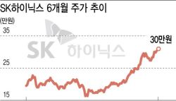 ‘30만닉스' 찍었는데 '중립' 리포트 찬물…엇갈린 전망[주톡피아]