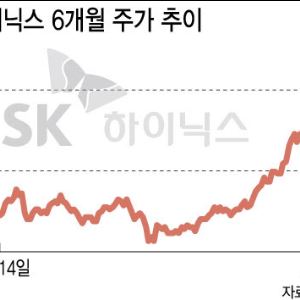 컷뉴스
