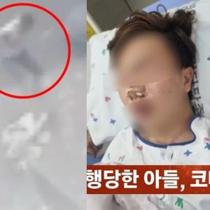 “개XX야!” 웃통 벗고 아내 때린男…고3 학생도 폭행