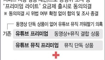 전세계 최저가 '유튜브 라이트' 출시…동의의결 잠정안 마련
