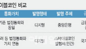 '달러 스테이블 코인' 오는데…'원화 코인' 논의 지지부진