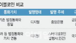 '달러 스테이블 코인' 오는데…'원화 코인' 논의 지지부진