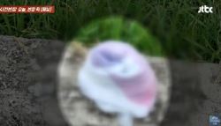 경복궁에 버려진 다 쓴 기저귀…“돌돌 말려져 있어”