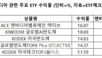 엔비디아 주가 쾌속 질주…따라 웃는 K반도체 ETF