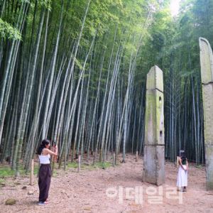 [여행]인생의 쉼표, 단 8명만 누리는 명작의 시간