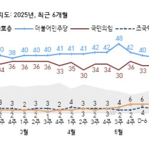 컷뉴스